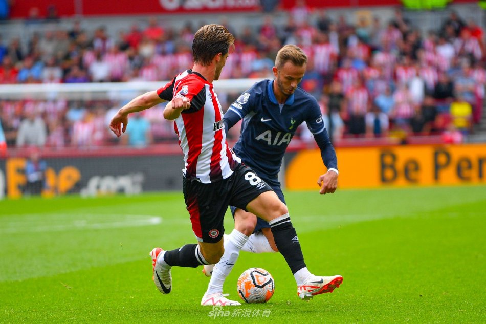 他的球队迈 他的球队迈