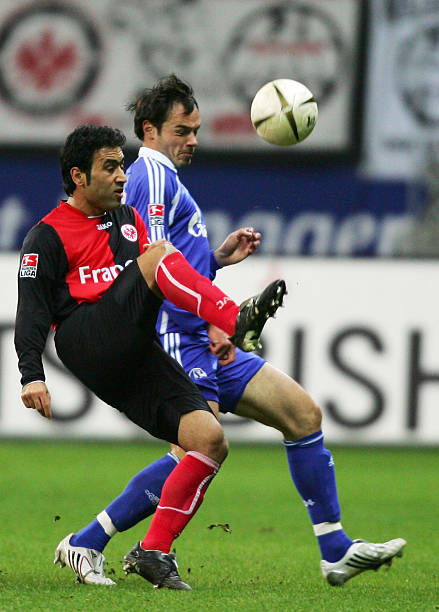 在这一舞台 在这一舞台